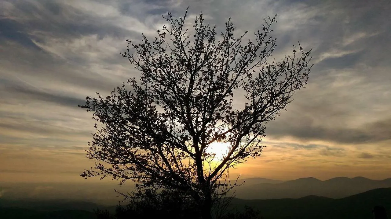 Philoxeninn #4 Polygyros 0*,  Greece